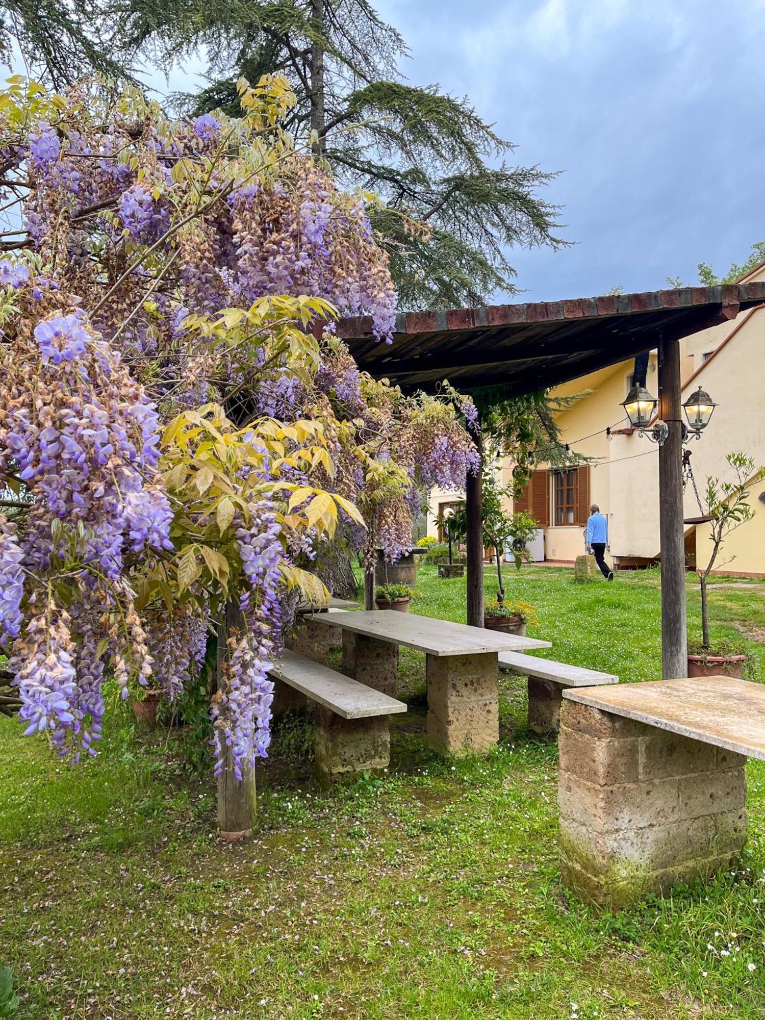 Tuscany Time Montefoscoli Exterior photo